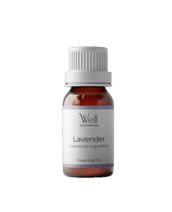 LAVENDER SOLITO nuevo Lavender