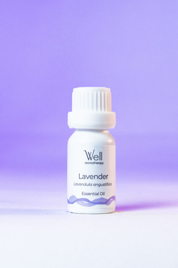 Lavanda Frio Lavender