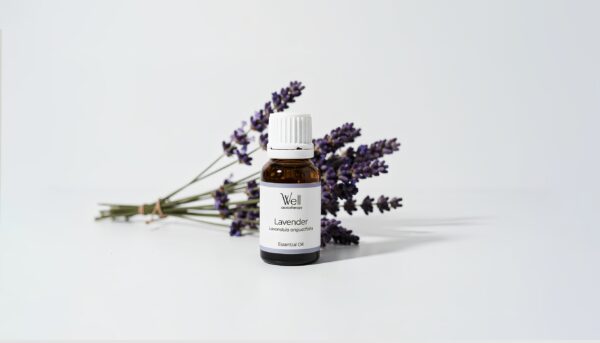 Lavender Profesional Lavender