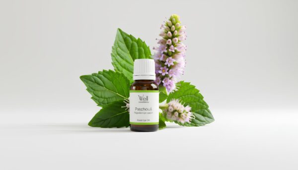 Patchuli