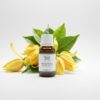 Ylang Ylang
