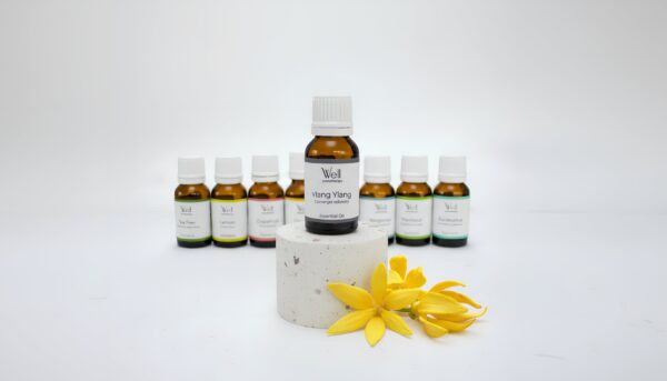 Ylang Ylang