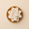 LOTUS (ceramic pasive diffuser)