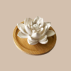 LOTUS (ceramic pasive diffuser)