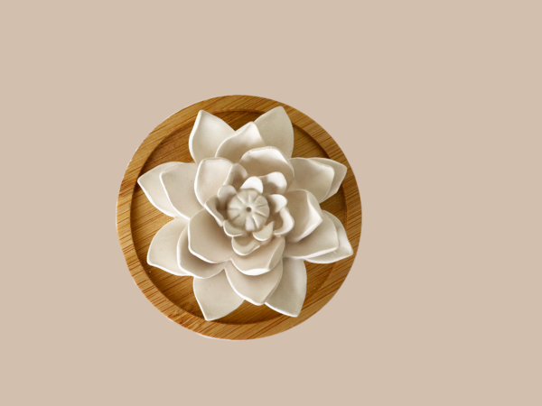 LOTUS (ceramic pasive diffuser)